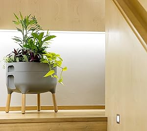 Alfresco Home 614-1710 Urbalive Low FSC Hardwood Legs-Anthracite Finish Self Watering Planter, Grey