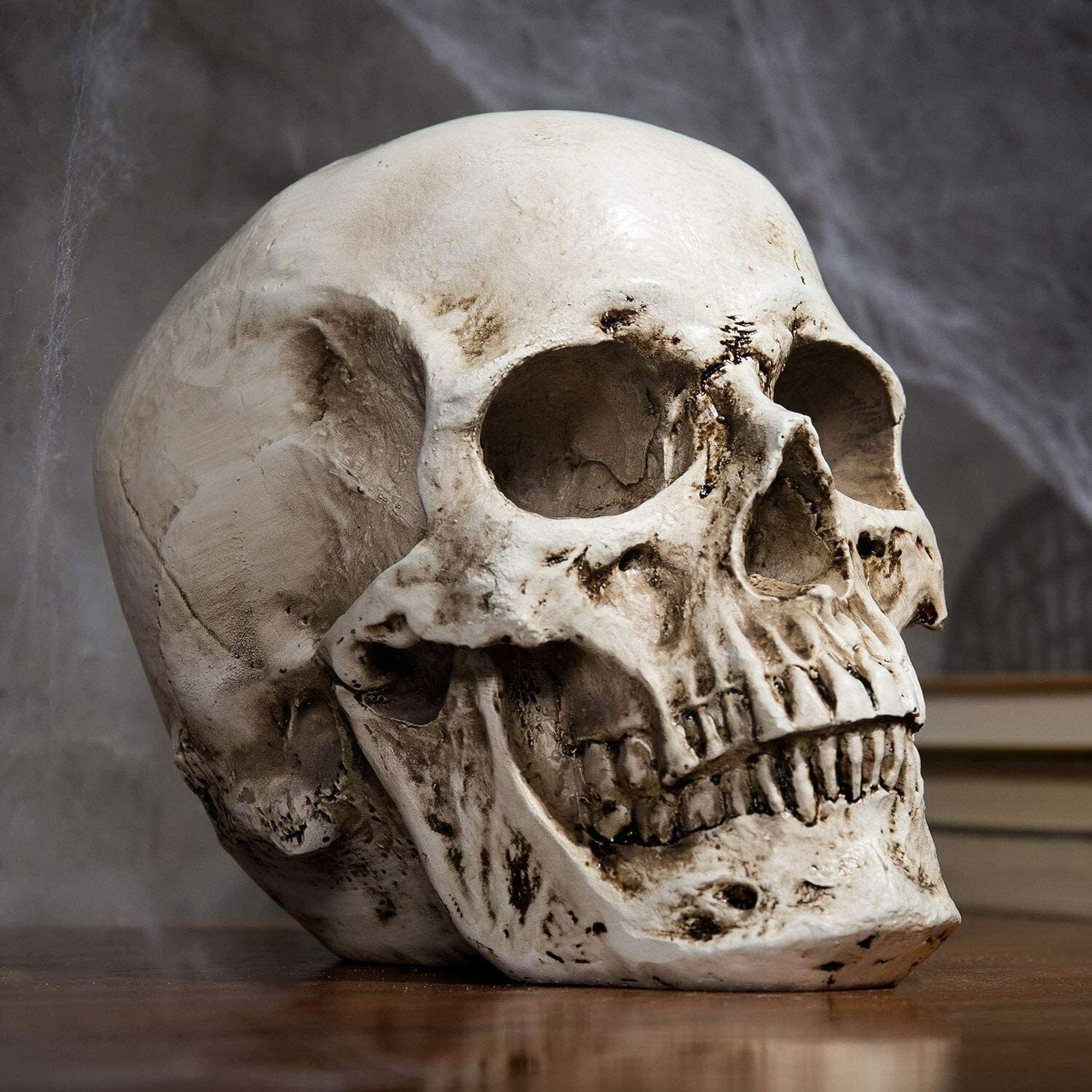 Human Skull Model - L12 x W15 x H14.5cm / 4.72 x 5.9 x 5.71 Inches - Realistic Resin Bone Medical Skeleton - Replica Life-Size Head for Anatomical Medical Teaching & Halloween Party Decoration