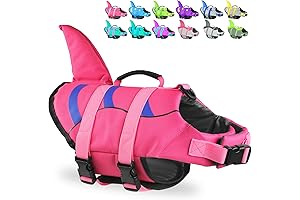 Fragralley Chihuahua Life Jacket: Keep Your Tiny Adventurer Safe in Water