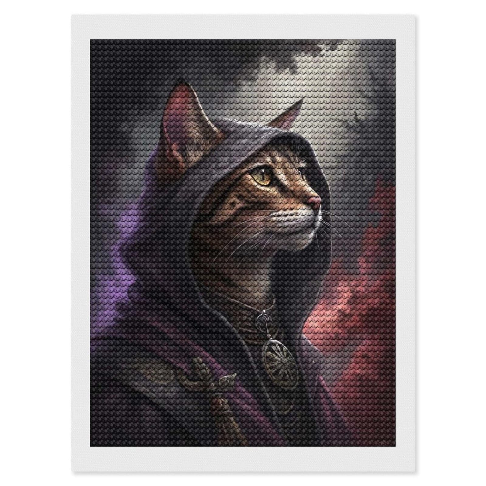 Junmoney Mysterious Cat Wizard Diamond Painting Canvas Set 12"x16", Mindful Craft Activity, Nice Detail and Sparkle, Farmhouse Decor, Birthday Gift