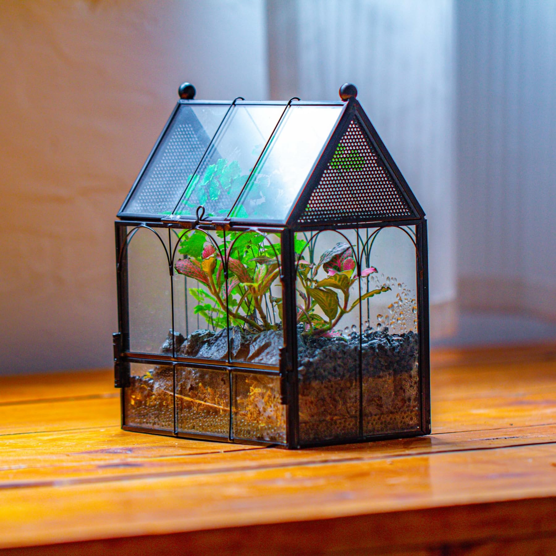 NCYP 14,7x9,6x17,8 cm Petit Enclos en Verre avec Maille pour Araignées, Insectes, Terrarium pour Plantes à Ouverture Frontale en Forme de Maison (Plantes et Accessoires Non Inclus)