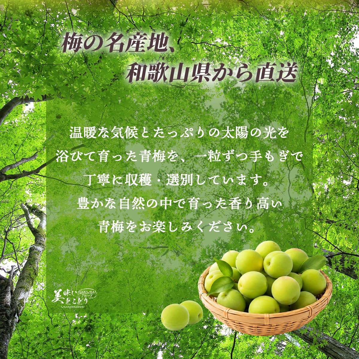 Amazon.co.jp: 美味いとこどり 青梅 和歌山県産 南高梅 野菜ソムリエ