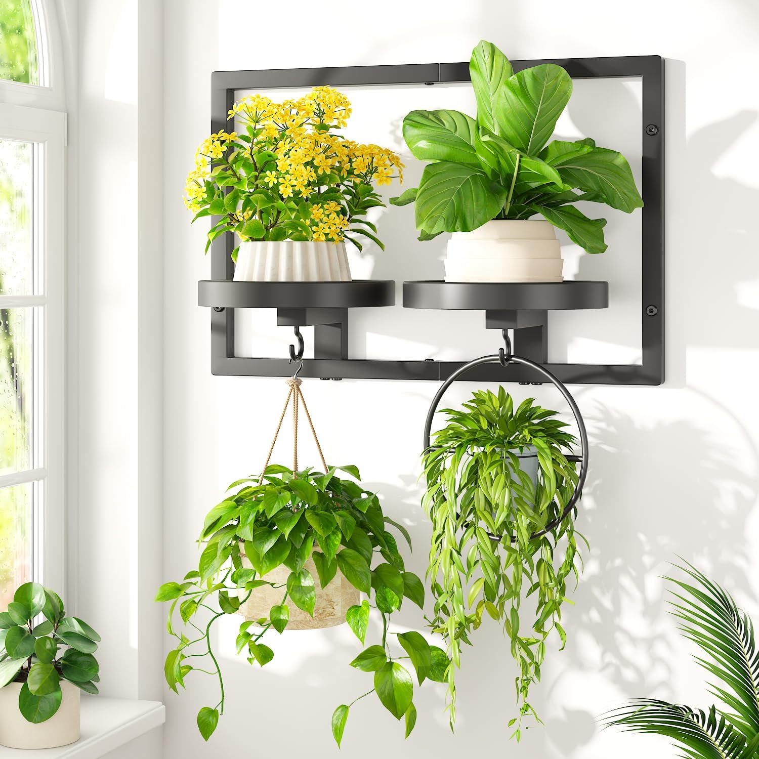 LASZOLA Black Wall Mount Plant Shelves with Hangers for Indoor Flower, Heavy Duty Metal Window Floating Planter Holders Stand, Modern Iron Picture Frame with Hook Decorative for Kitchen Bathroom