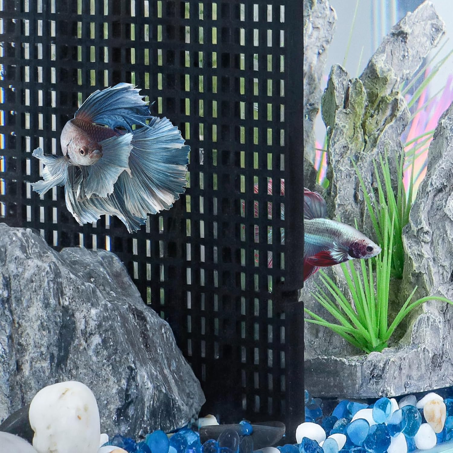 Pawfly 4 Pcs Aquarium Grid Divider, Plastic Fish Tank Divider, Egg Crate Divider Tray, Grid Fish Tank Bottom Isolation Separator for Aquarium Fish and Plants, Black