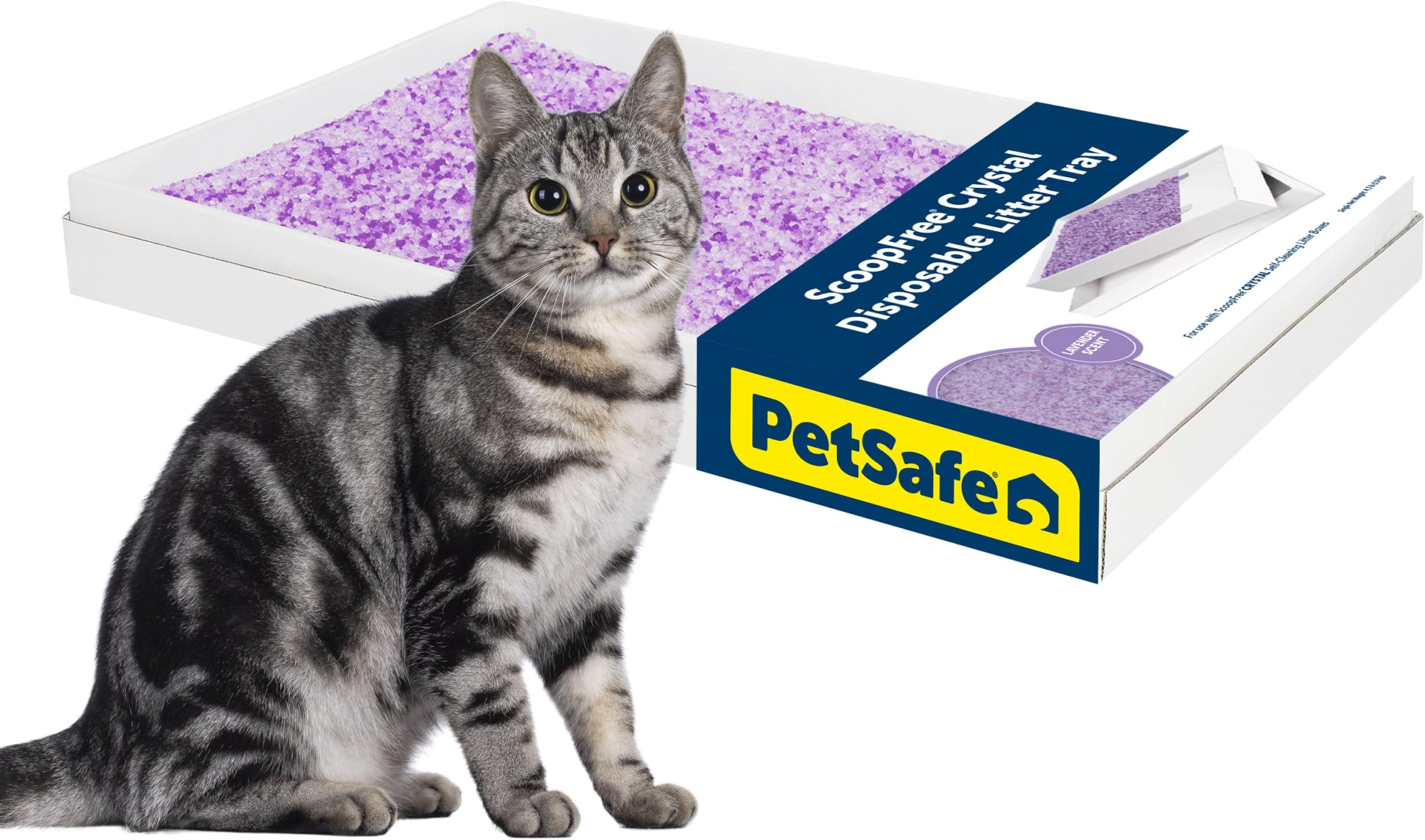 PetSafe ScoopFree Disposable Crystal Cat Litter Tray - Easy Cleaning Box - Refill Tray for Electric Litter Box - Lavender Scent - 4.3 lb Bag