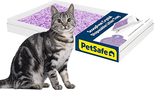 Miniatura 12 de Bandeja de arena de cristal desechable PetSafe ScoopFree - Caja de limpieza fácil - Recambio de bandeja para caja de arena eléctrica - Aroma fresco
