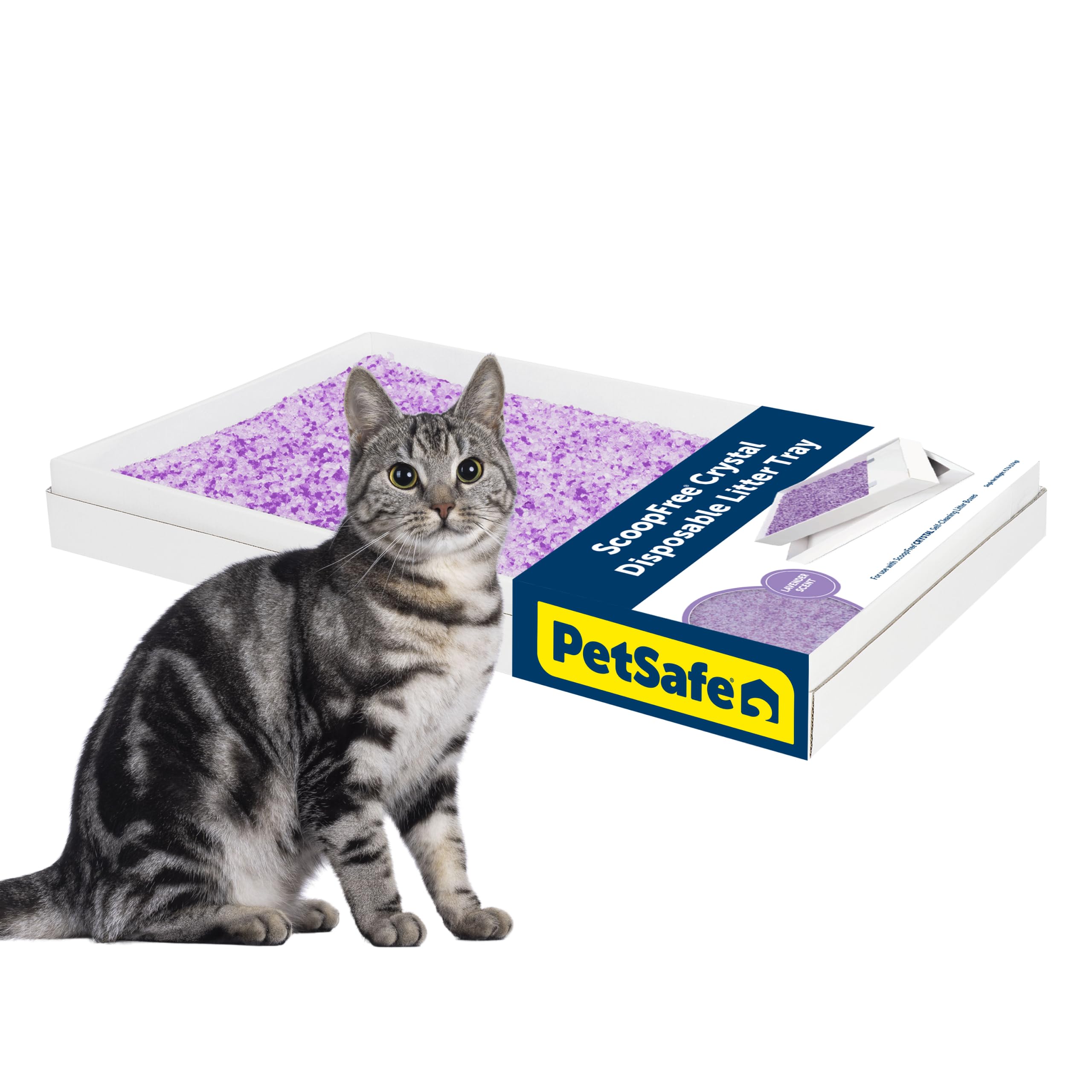 PetSafe ScoopFree - Bandeja de Arena desechable de Cristal para Gatos, Caja de fácil Limpieza, Bandeja de Repuesto para Caja de Arena eléctrica, Aroma a Lavanda, Bolsa de 4.4 Libras