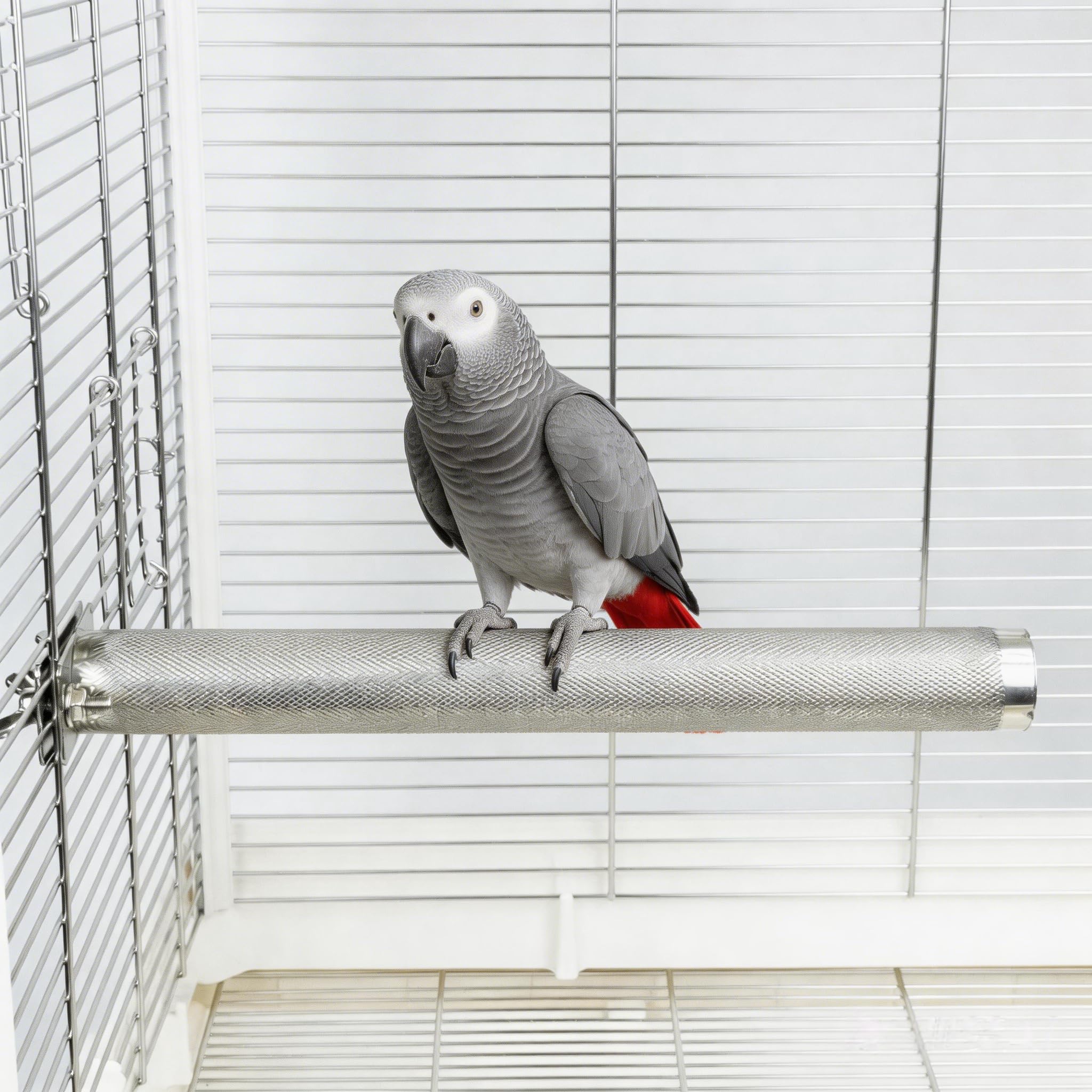 AOTU Percha grande de acero inoxidable para loros, soporte para pájaros, para jaula, percha duradera para cortar picos y garras para pájaros, accesorio de jaula de loro (L: 30 x 3 cm)
