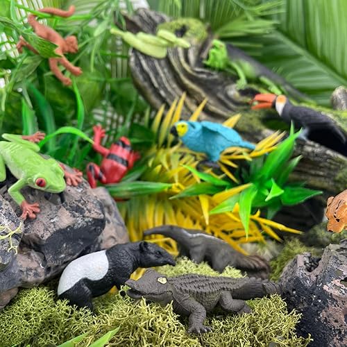 Miniatura 2 de Tubo de figuras TOOB® de la selva lluviosa, de la marca Safari Ltd.