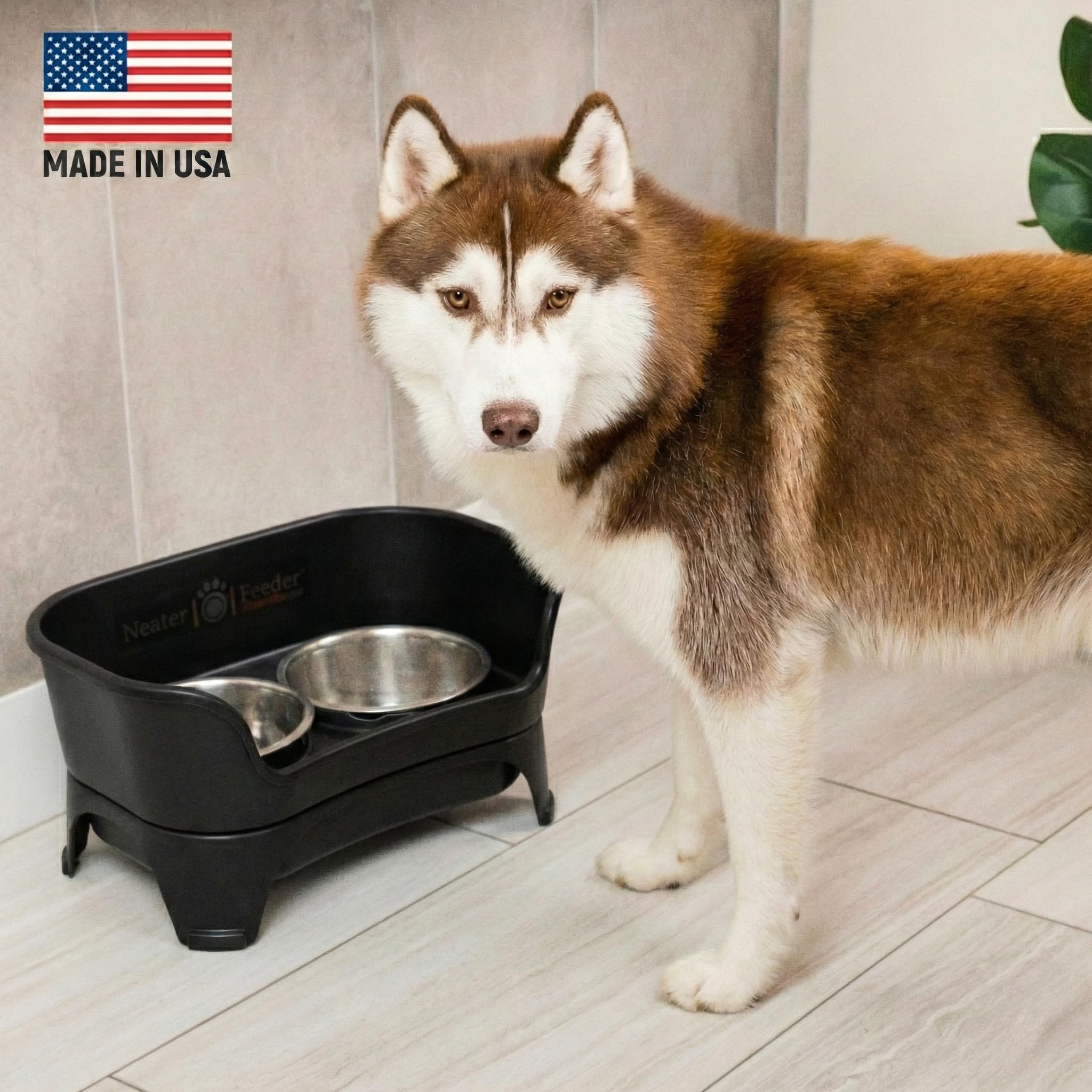 Amazon.com: Neater Pet Brands: Neater Feeder & Slow Feed Bowl