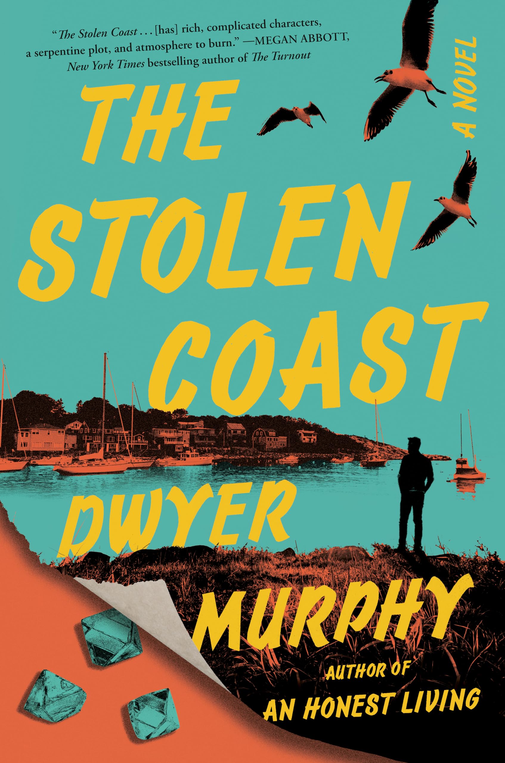 The Stolen Coast A Novel 9780593653678 Murphy, Dwyer Books
