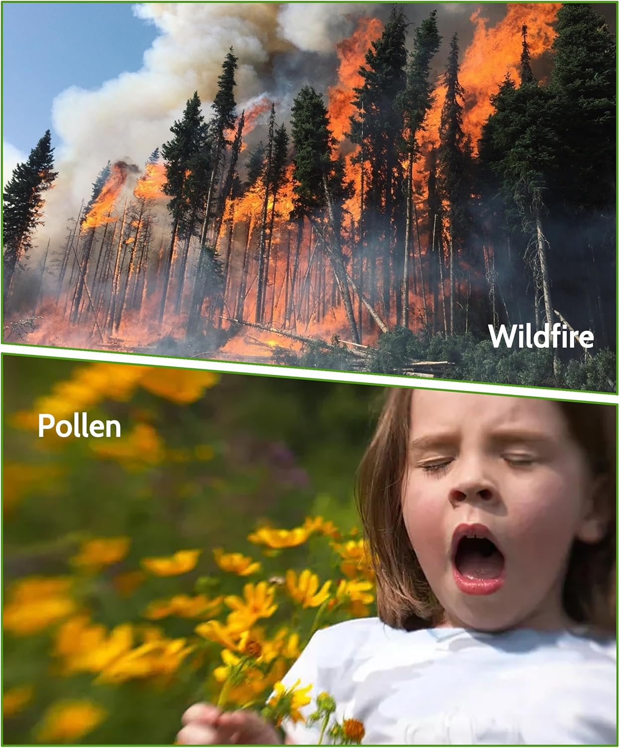 240 Replacement Filters Compatible with Puroair 240 Air Purifier, 3-in-1 Filtration System 240 HP-14 Filter with Activated Carbon Filter, 2-Pack - Image 10