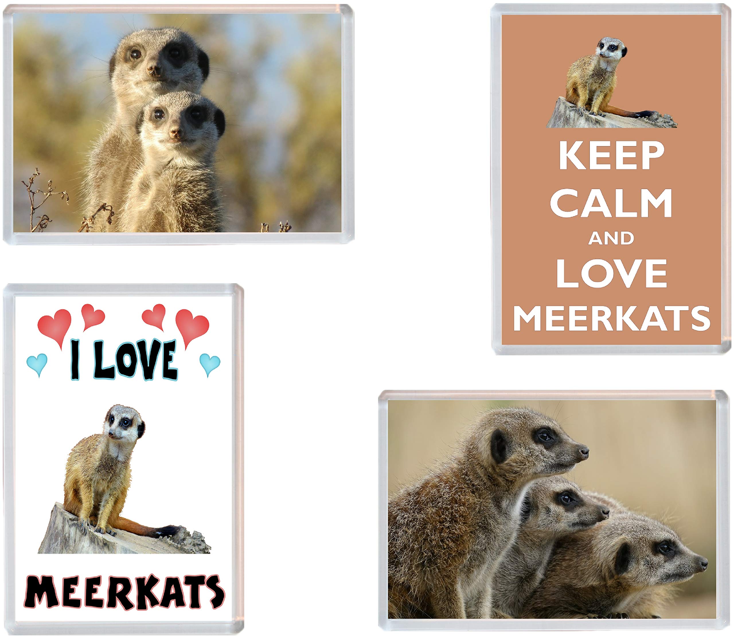 Meerkat/Meerkats - 4 PACK - Jumbo Fridge Magnet/Magnets