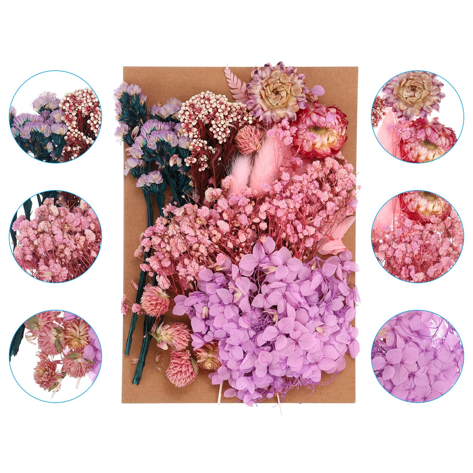 PATIKIL Pressed Flowers for Craft Bulk Dried Flowers Natural Pressed Flowers Leaves for Resin Soap Candle Scrapbooking DIY Gift Papermaking - Image 3