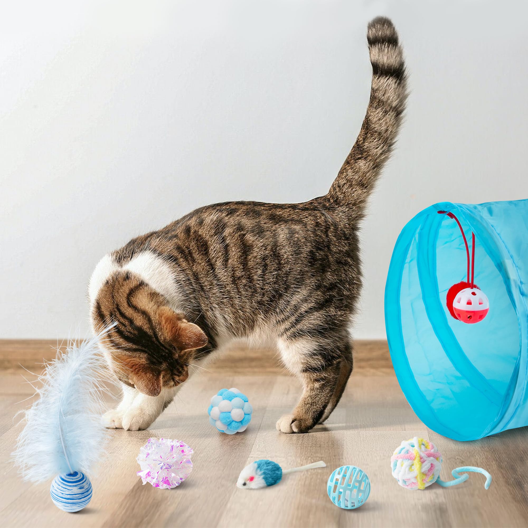 MALLMALL6 Prodotto Blue Cat 12PCS