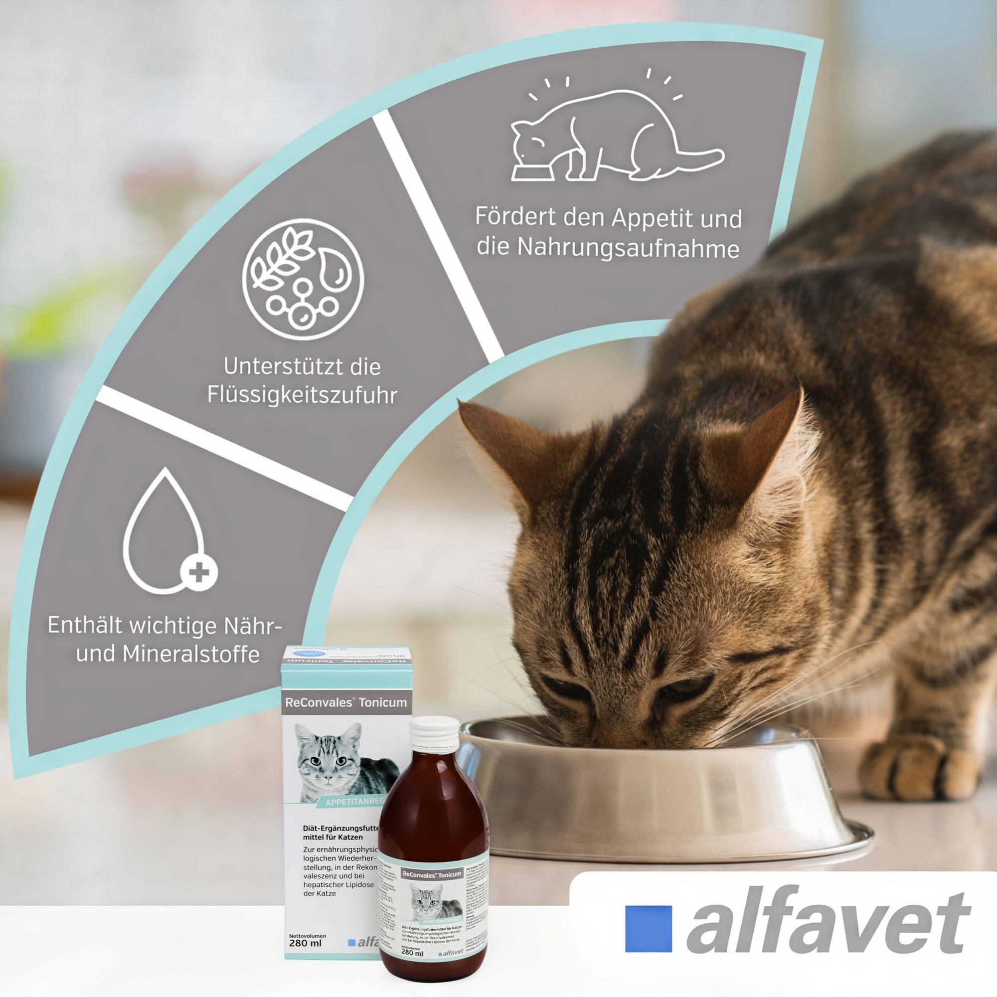 Alfavet ReConvales Tonicum para gatos | Pack de 3 | 3 x 280 ml | Complemento alimenticio dietético | Para la convalecencia, el bajo peso y la lipidosis hepática del gato