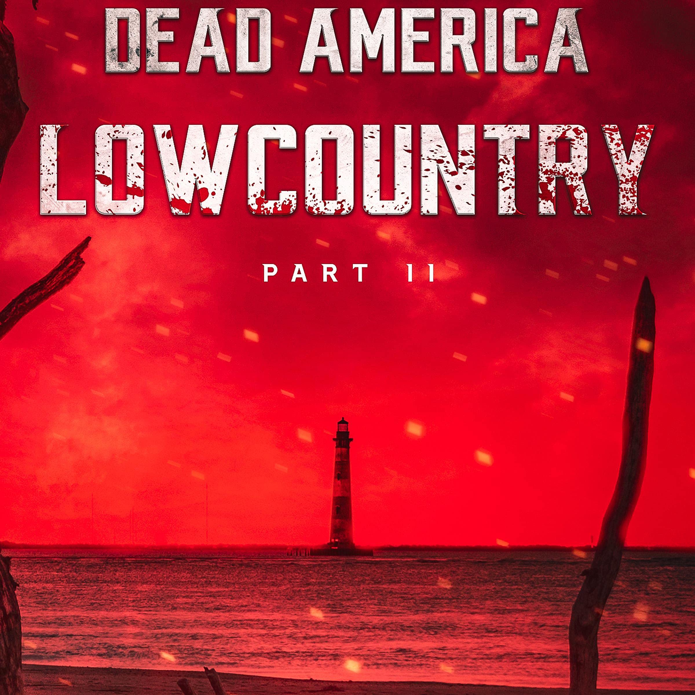 Cover art for Dead America - Lowcountry Pt. 11