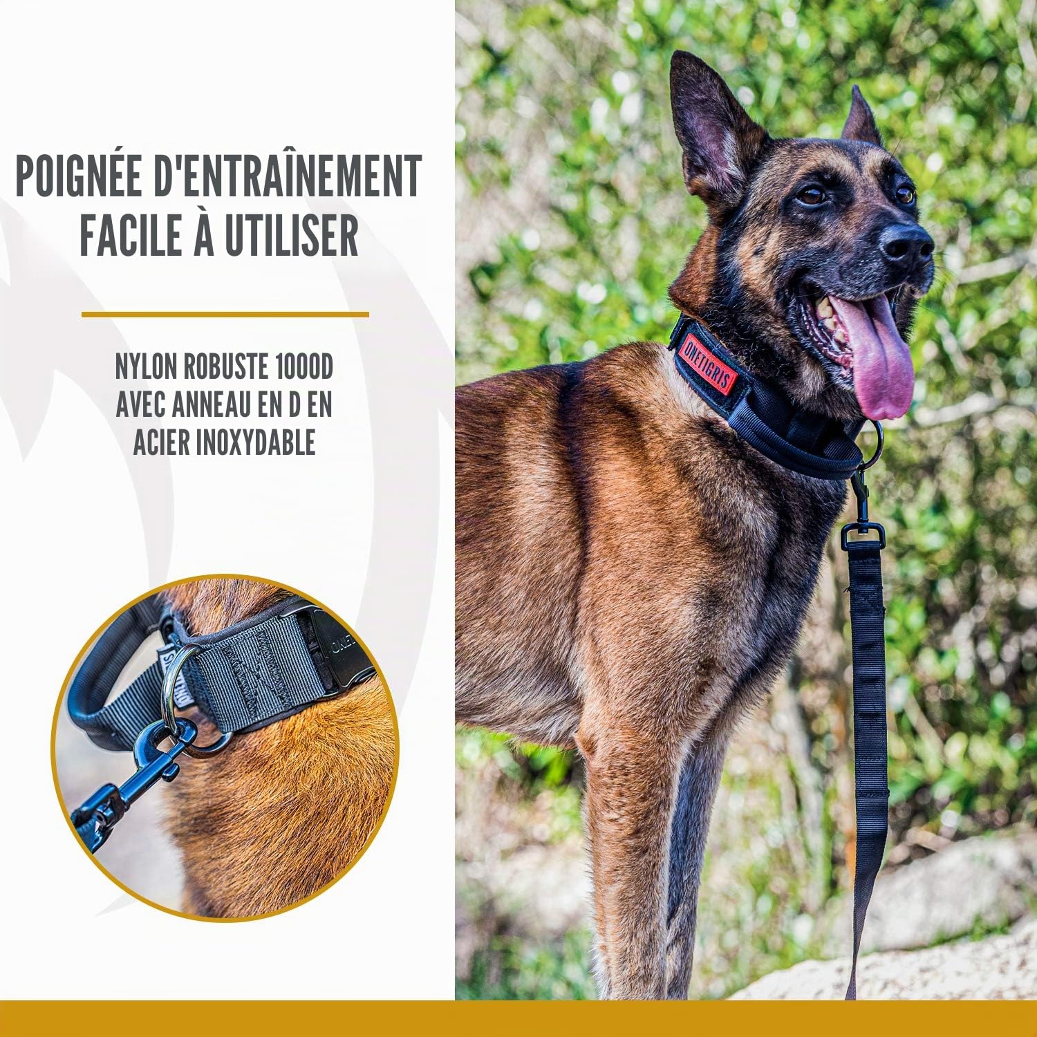 OneTigris Collier pour Chien avec Boucle en métal pour Chien - Noir XL