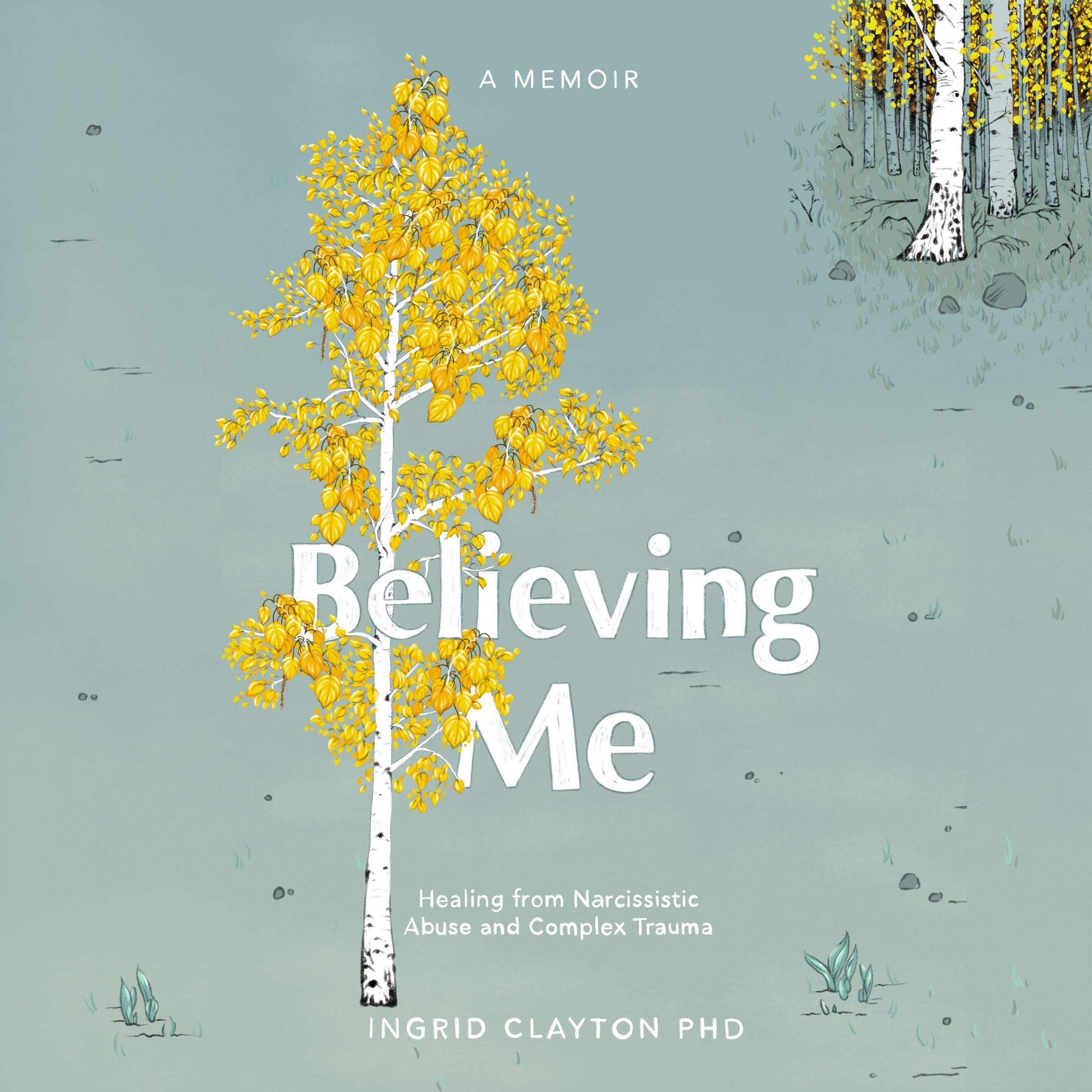 Cover art for Believing Me