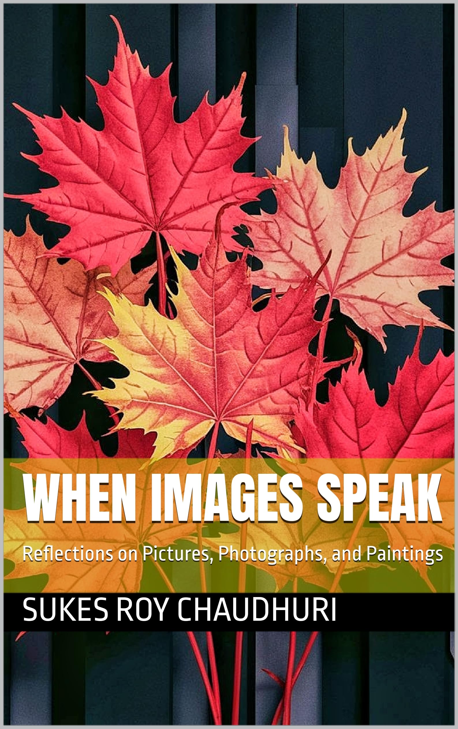 When Images Speak édition reliée d'une réflexion esthétique et philosophique majeure