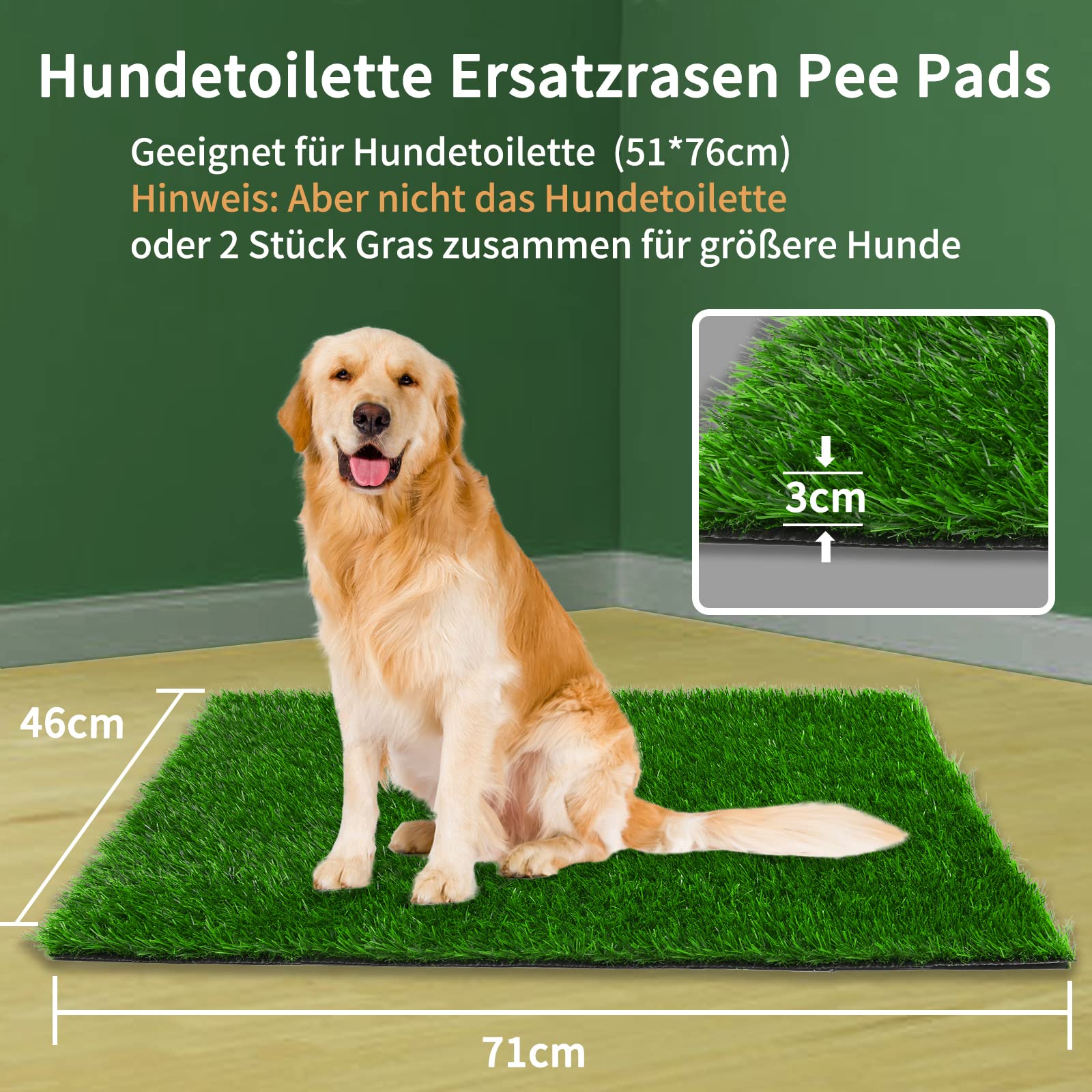 Pelouse synthétique pour chien - Pour entraînement - Réutilisable - Pour les personnes âgées, les petits et les grands chiens