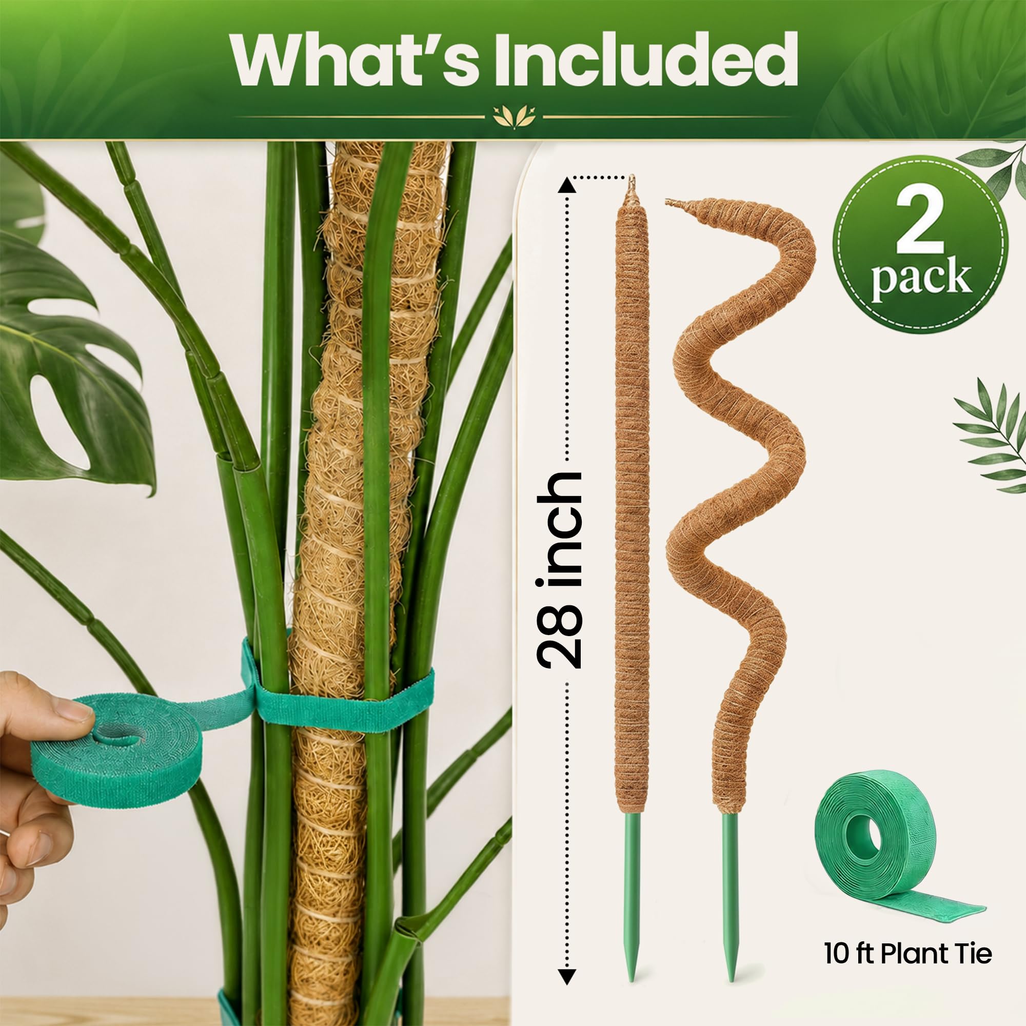 Monstera Plant Support - 28'' Moss Pole -2 Monstera Plant Support - 28'' Moss Pole -2