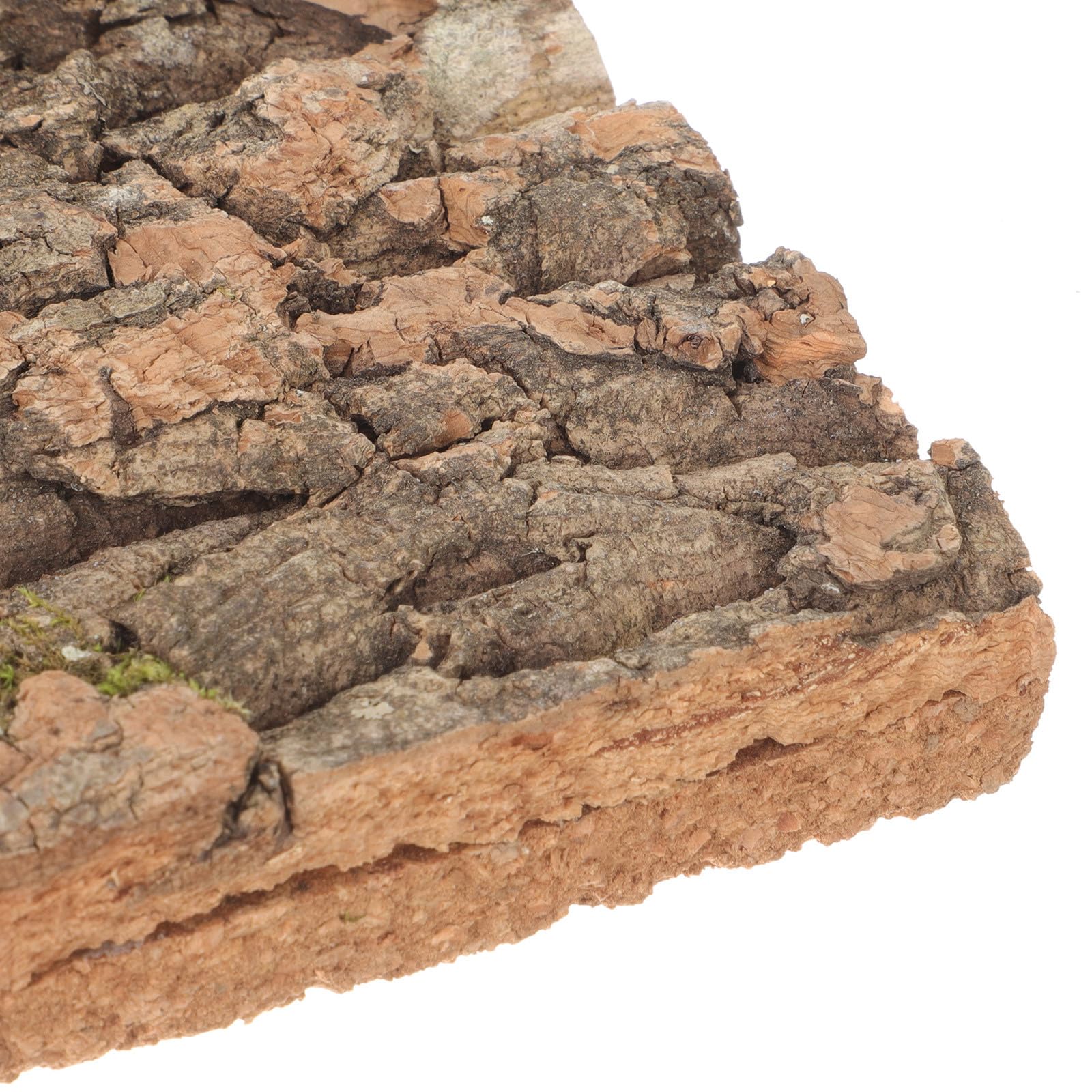 Corteza de Corcho Natural Textura Dura Segura para Reptiles Fondo Decorativo y Pared de Plantas para Terrarios en Acuarios de Reptiles
