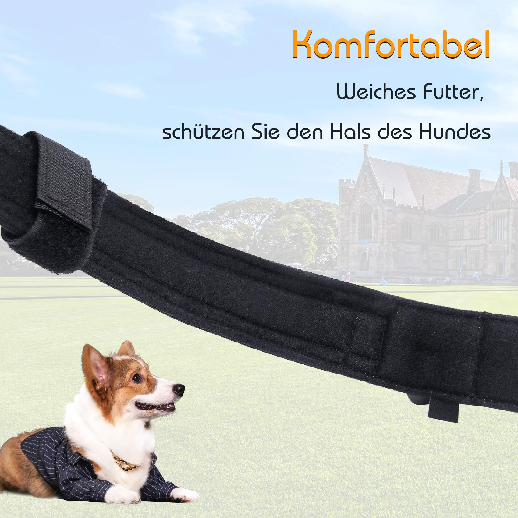 Taktisches Hundehalsband Mit Griff – Robust, Verstellbar, Perfekt Für Training & Outdoor