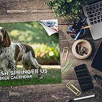 Vista 936 de Razas de Perros 2017