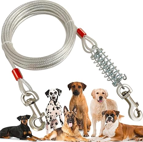 dog yard leash