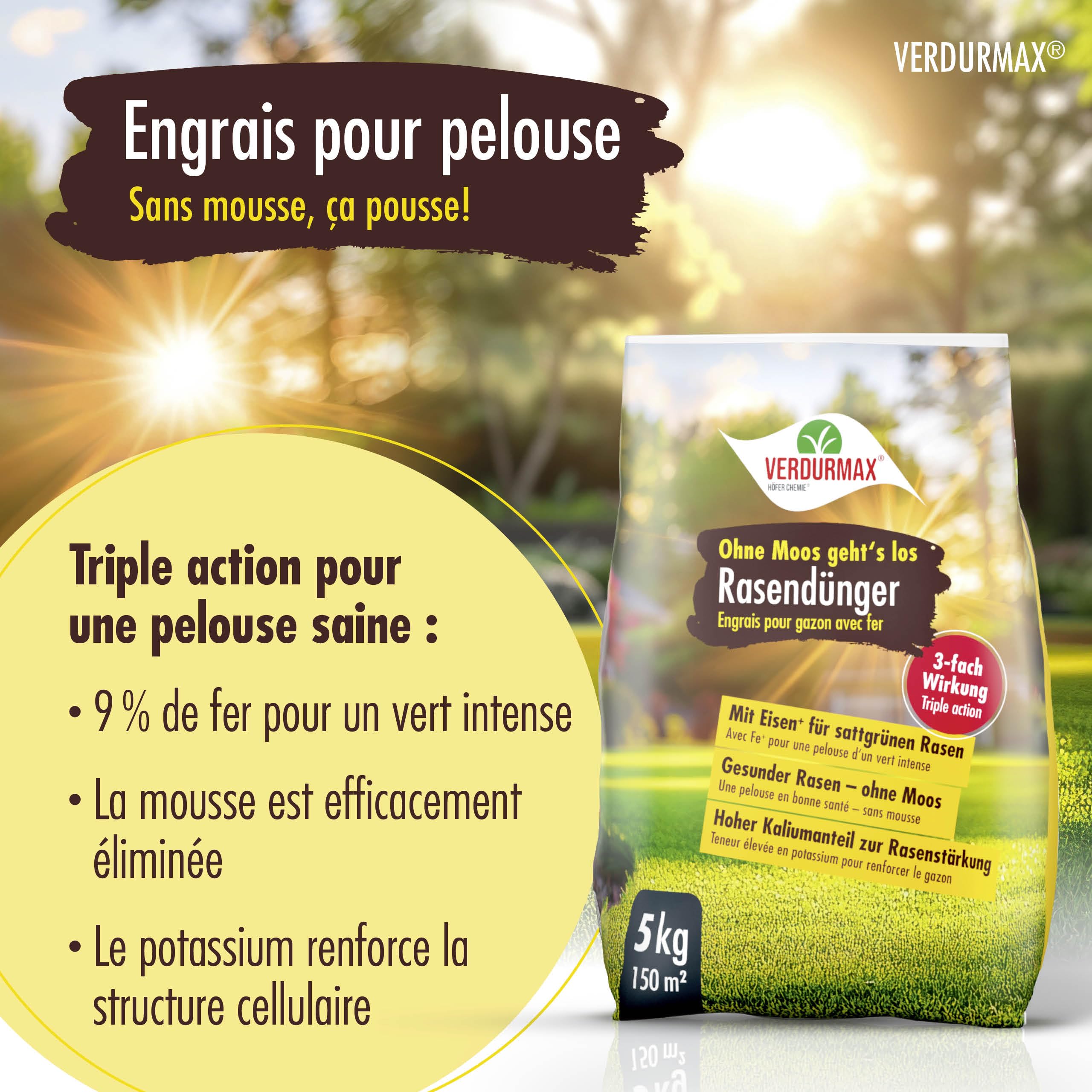 VERDURMAX Engrais Pelouse au Fer 1 x 5 kg – Action Anti-Mousse Rapide & Revitalisante – Gazon Vert Profond et Robuste – Riche en Azote, Potassium et 9% de Fer – pour 165 m² environ
