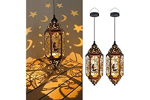 Go2Garden 2-Pack Whimsical Hanging Solar Lanterns