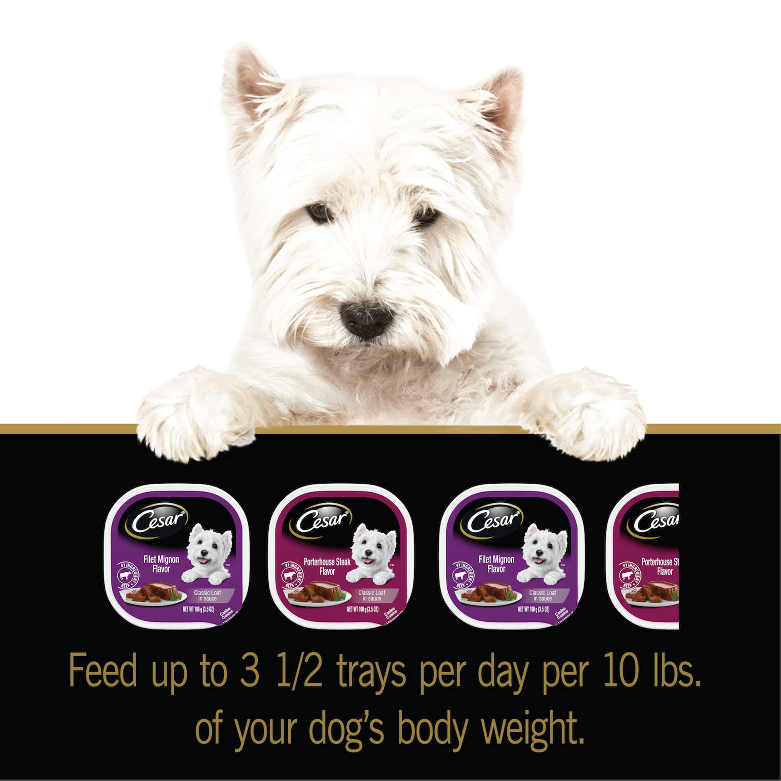 Cesar Gourmet Wet Dog Food Variety Packs 24 Trays Buy Online in Sri