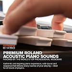Roland 61-Key Arranger Keyboard (E-X50)