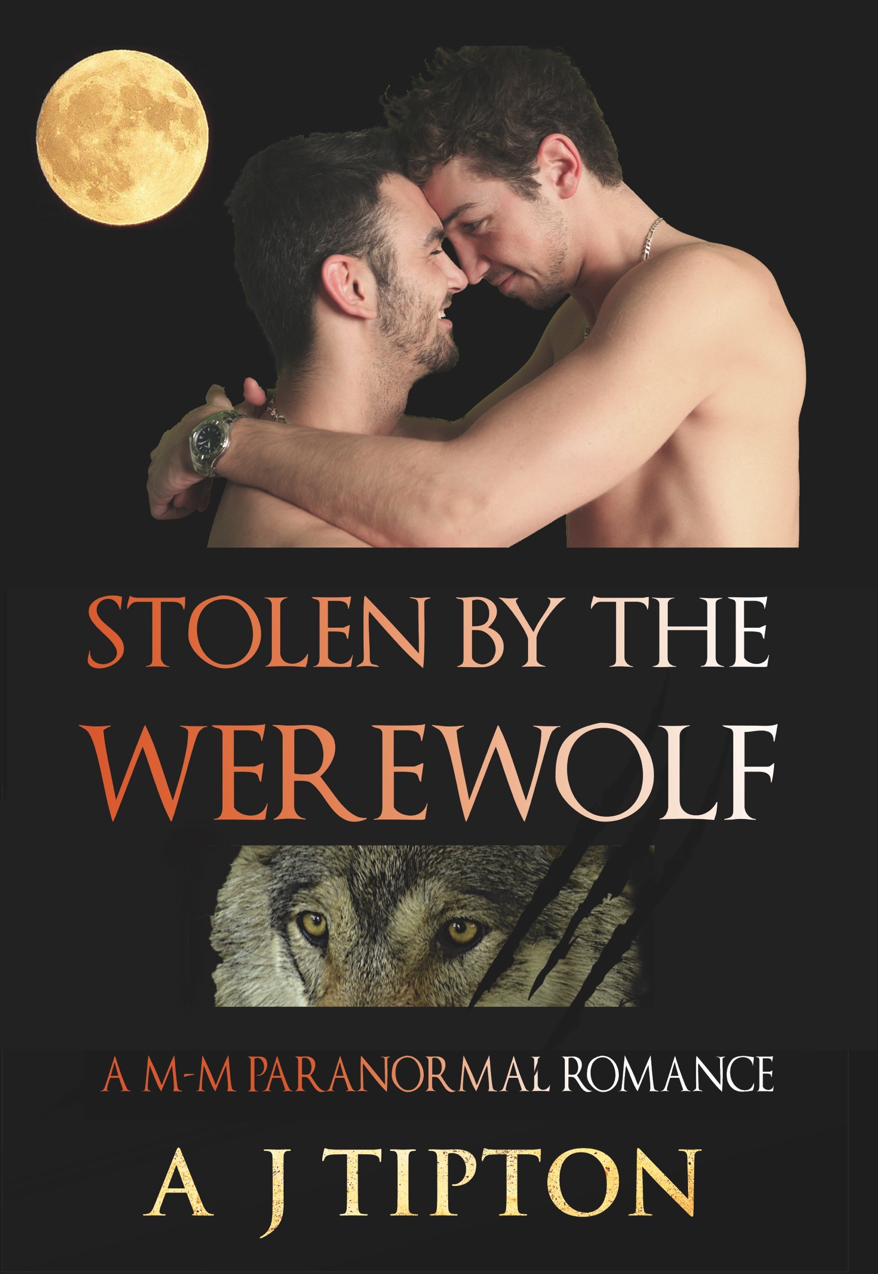 Cover of Stolen by the Werewolf