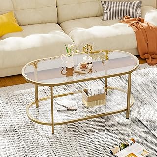Coffee Table Gold Oval Glass Table for Living Room,2 Tiers Oval Center Table with Sturdy Metal Frame, Modern Tempered Glass Tables for Bedroom Living Room Home Office