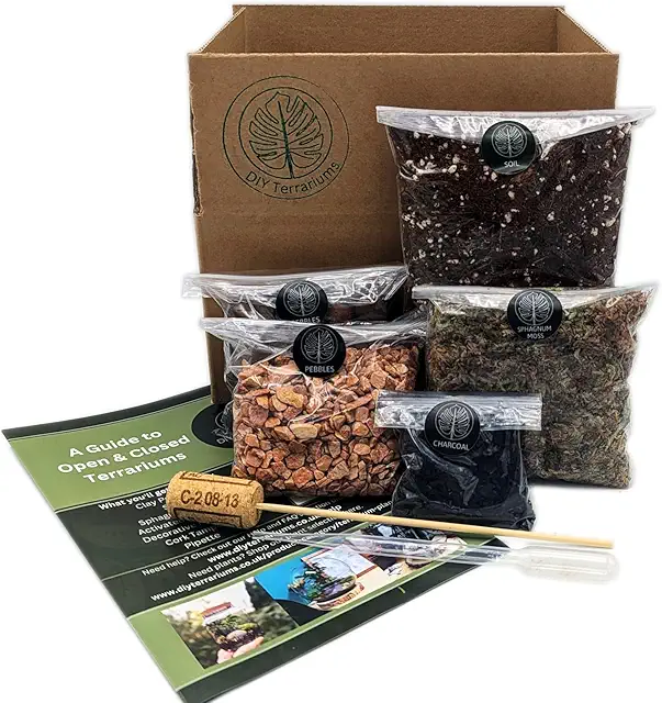 DIY Medium Terrarium Kit with Terracotta Pebbles - Adult Craft Kits