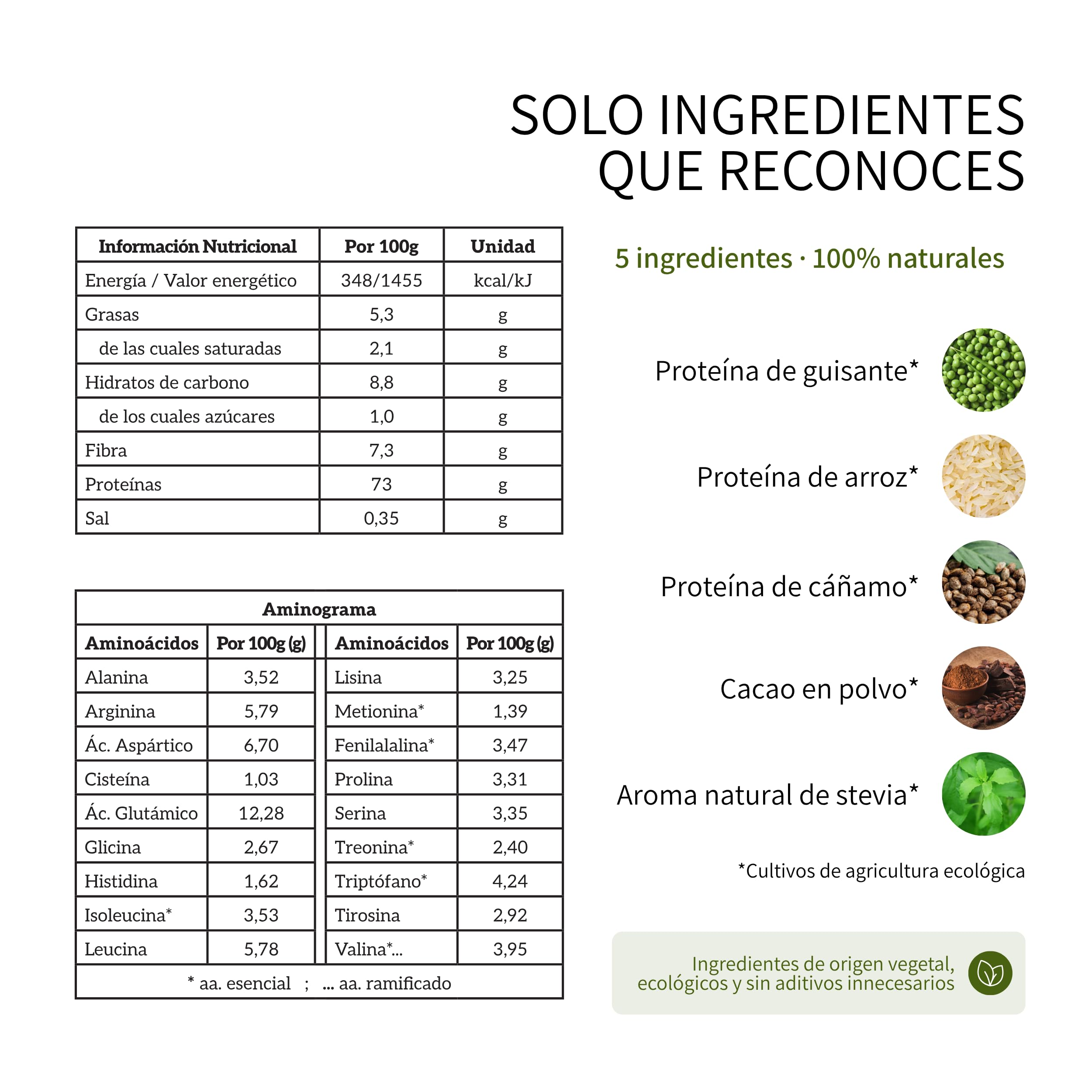 Proteina Vegana Ecologica en Polvo, 1kg | 73% Proteina Vegetal de Cacao