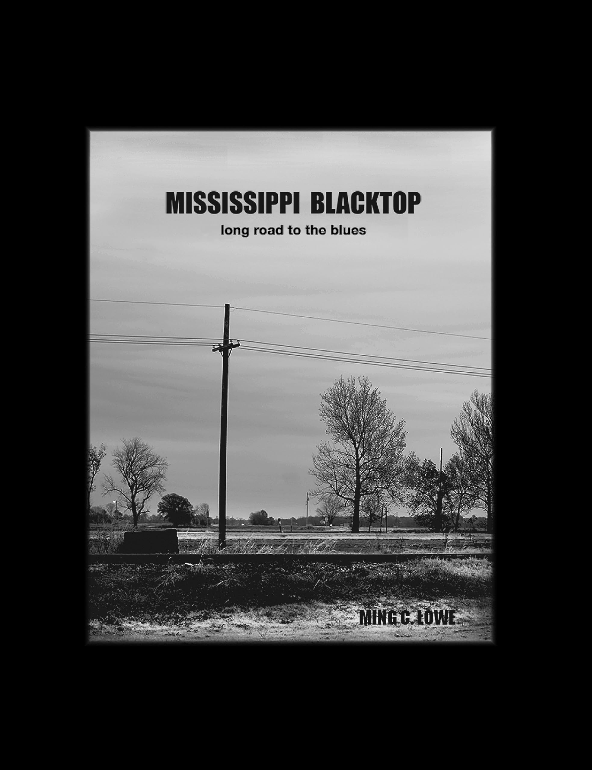 Mississippi Blacktop long road to the blues histoire musique américaine