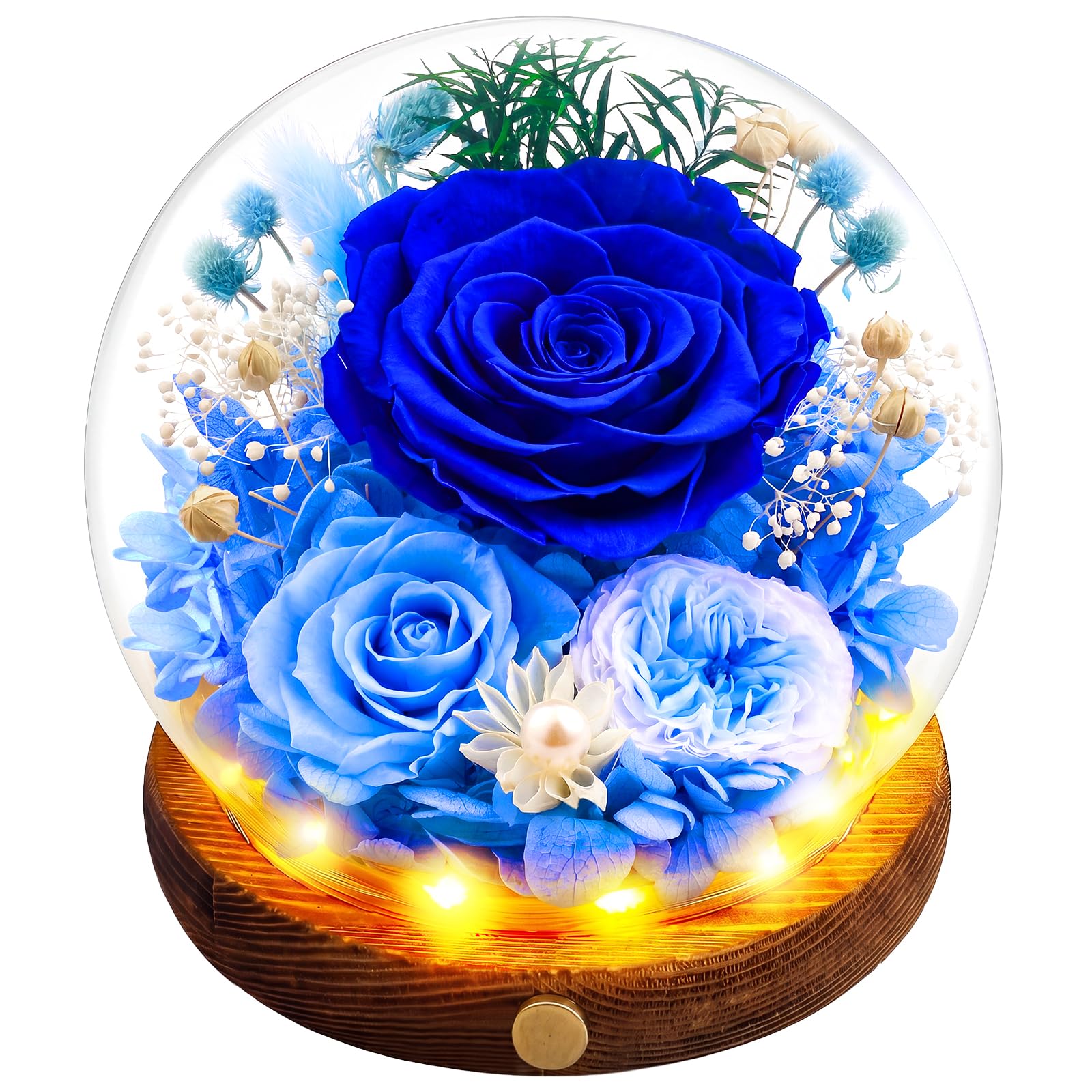 Elover Preserved Roses in Glass Dome with LED Light – Long Lasting Real Flowers,Forever Eternal Rose for Mother's Day,Valentine's Day,Birthday Gifts for Women,Mum,Wife,Girlfriend (Blue)