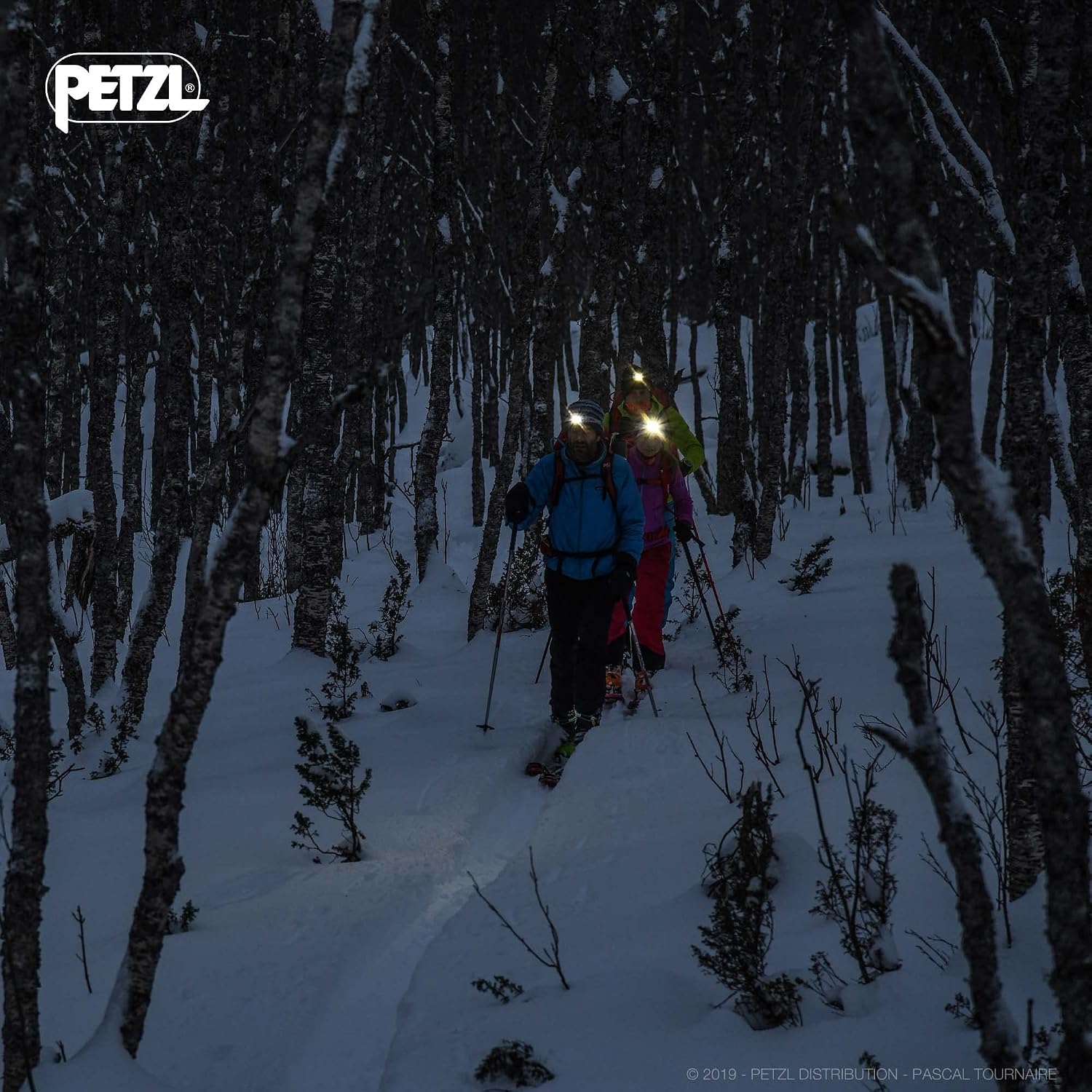 Petzl Actik - Head Flashlight 350 Lumens