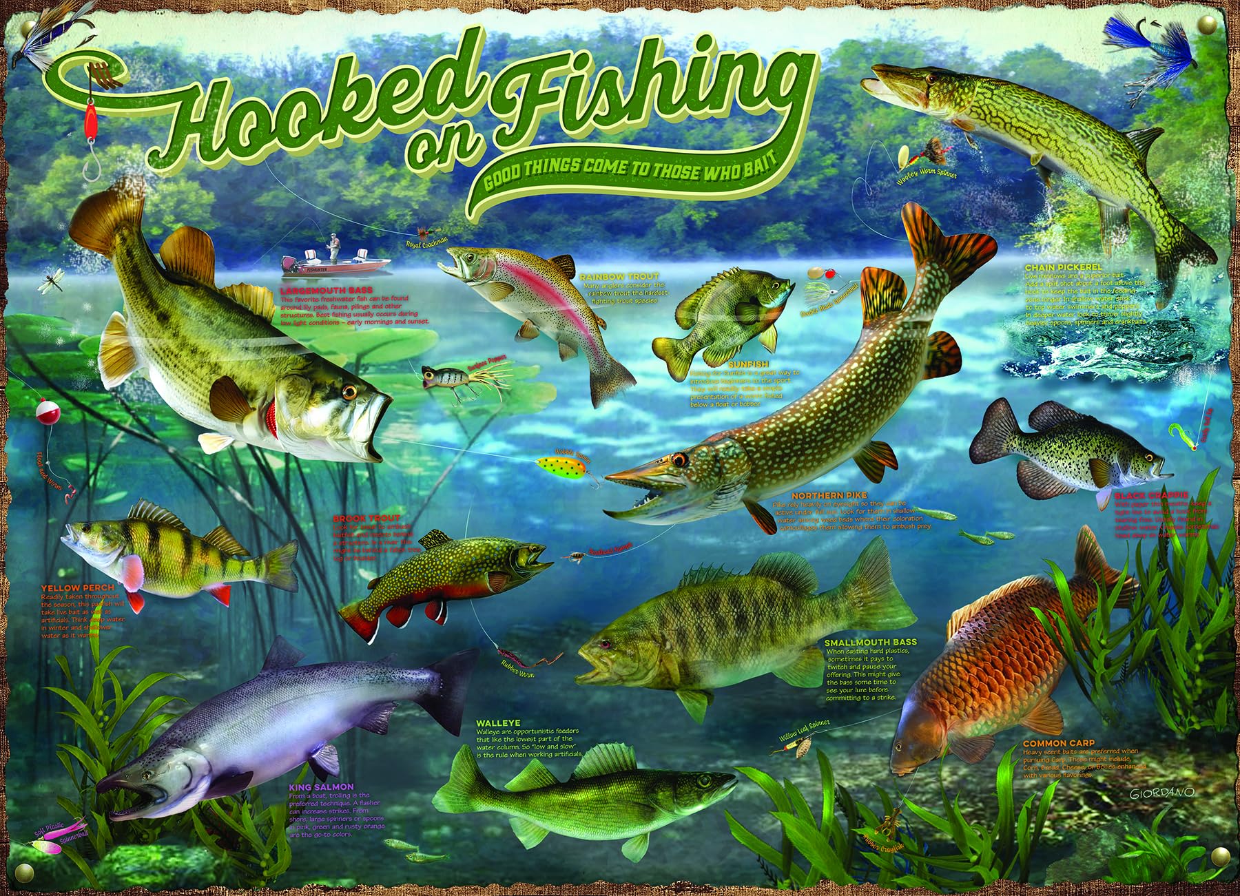 ジグソーパズル　フレッシュウォーターフィッシュ　1000ピース Amazon | Cobble Hill 1000ピースパズル フックオンフィッシング