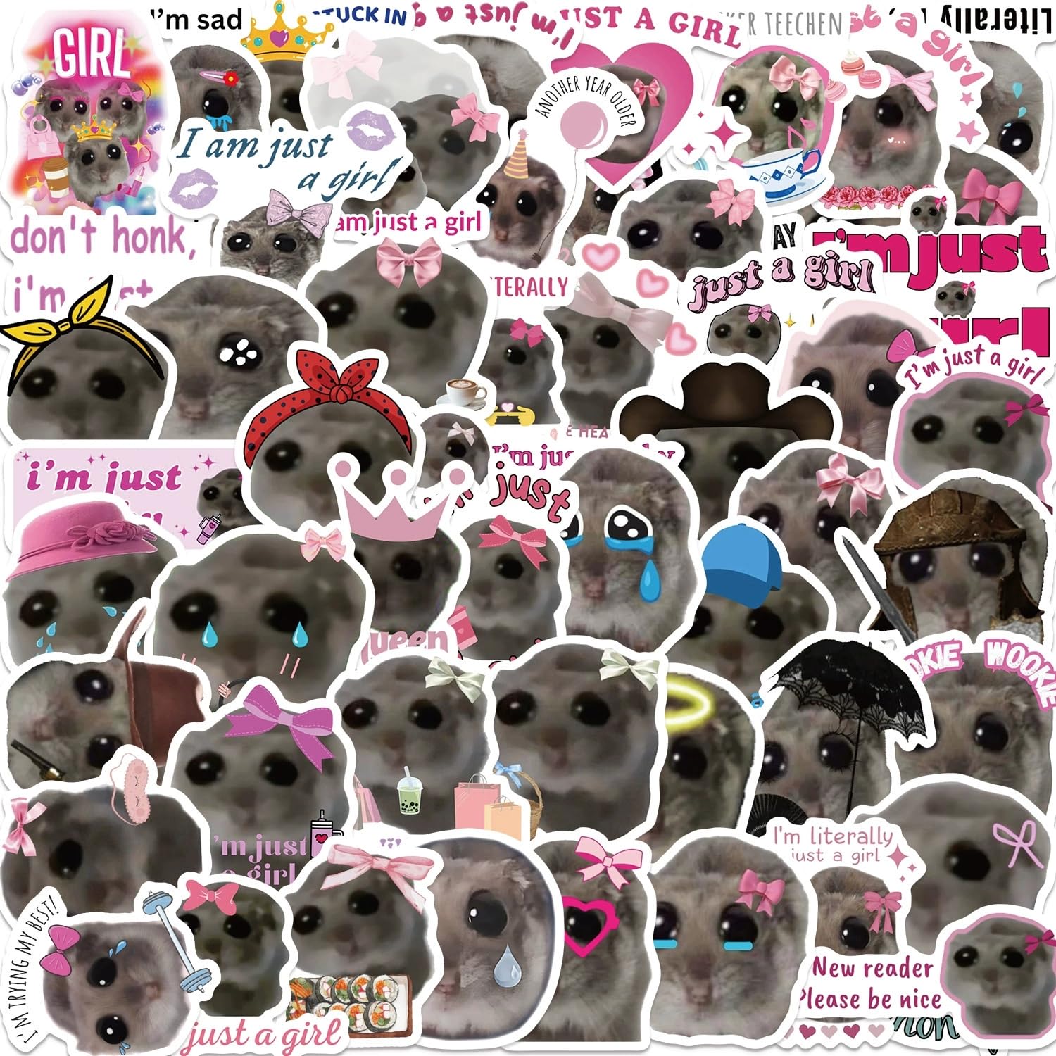 Funny Hamster Meme Vinyl Stickers,Y2K Aesthetic Graffiti Stickers,Vinyl Waterproof Sticker for Kids Teens Girls,for Phone Laptop Bottles Skateboard Computer Phone Luggage Guitar Gifts Sticker - Image 2