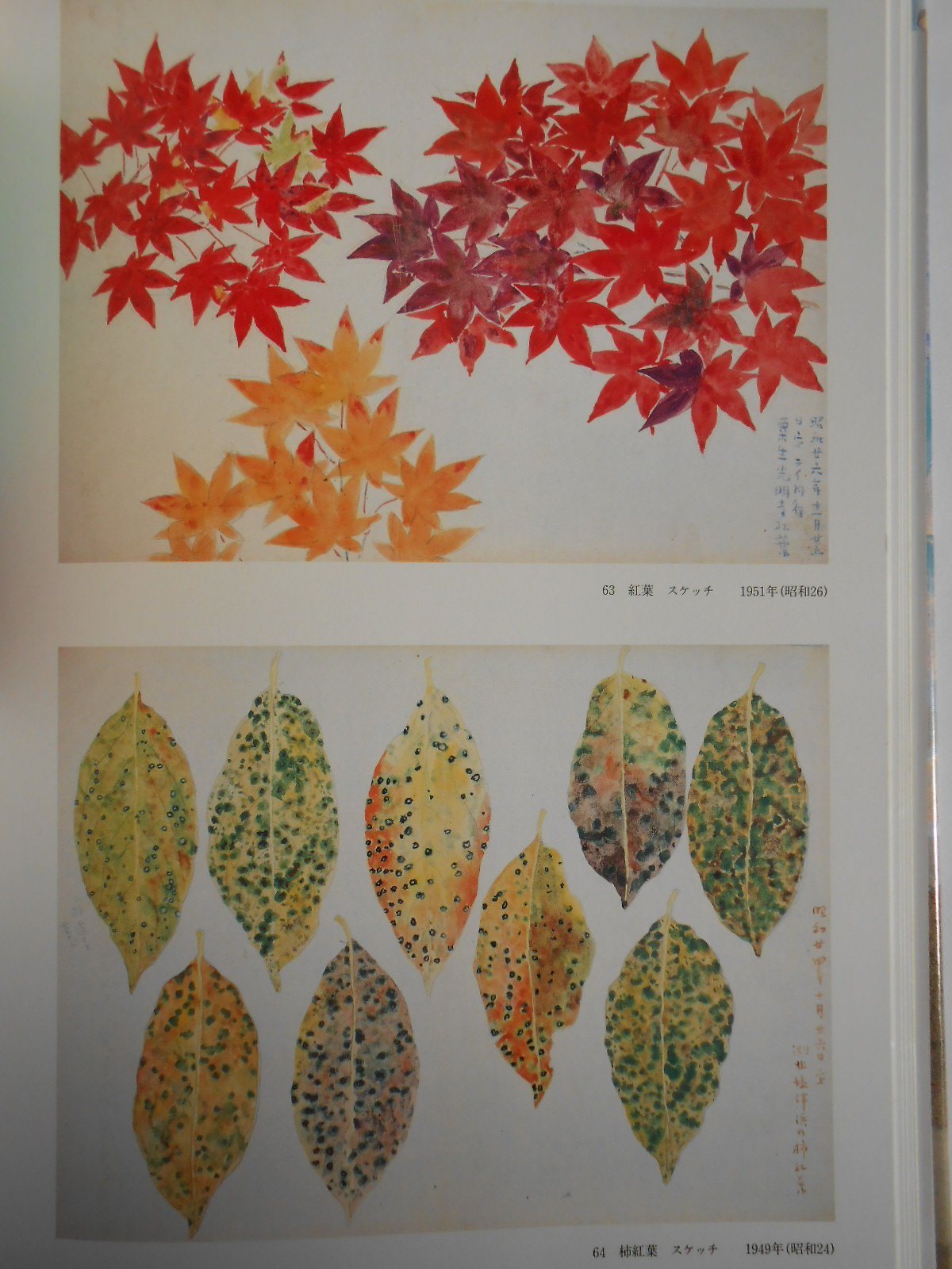 Amazon.co.jp: 福田 平八郎: 本、バイオグラフィー、最新