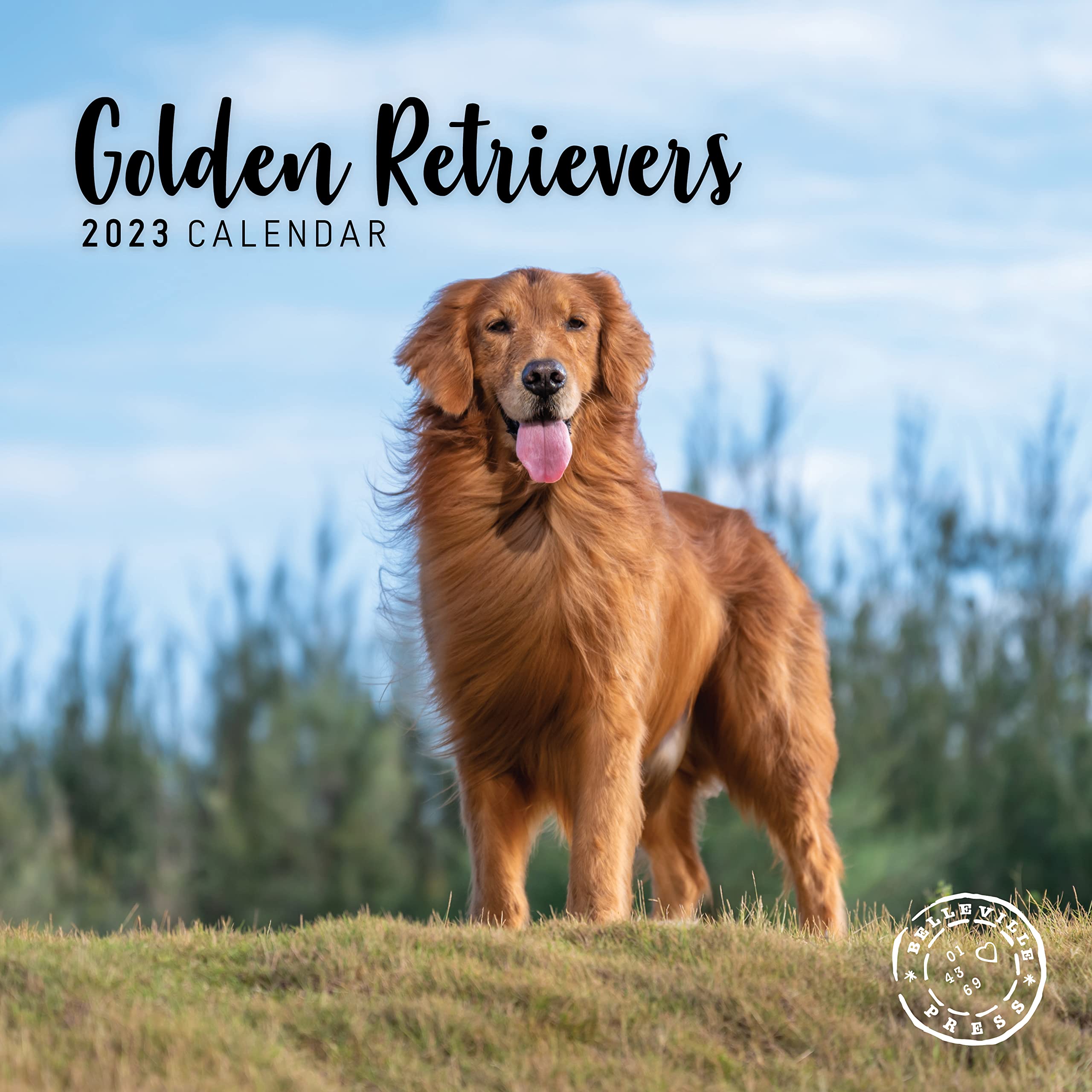 Amazon.com: 2023 Golden Retrievers Monthly Wall Calendar by Bright Day, 12  x 12 Inch, Cute Adorable Pet Dog Photography : Office Products