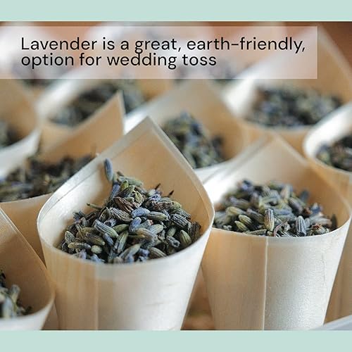 Miniatura 5 de Flores secas de lavanda orgánicas (caja de 5 libras), capullos de lavanda a granel