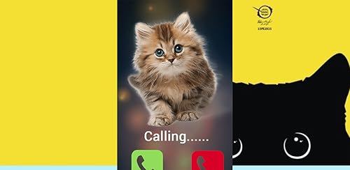 Prank Call from Cute Cat Fake (prank calling from pet cat)
