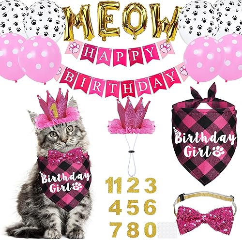 Cat Birthday Party Supplies, Cat Birthday Hat Crown with Number