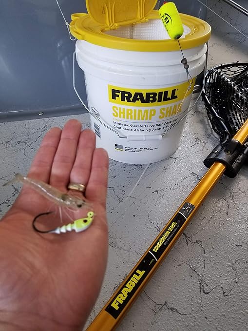 aerated minnow bucket