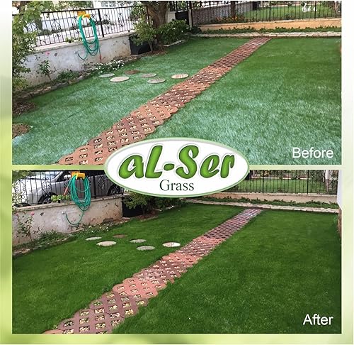 Miniatura 5 de AL-SER - Tapete de semillas de césped biodegradable. Manta de semillas. Alfombra de semillas. Tómalo, colócalo en el suelo y riégalo. (10.76 pies